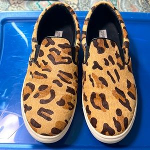 Steve Madden - Ecentrcl Sneaker (Leopard) - Preowned Size 9.5
